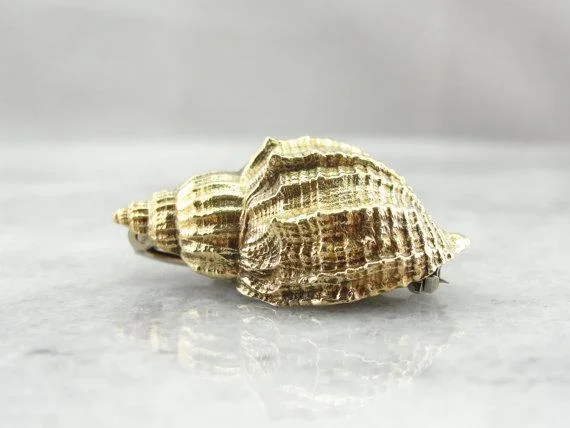 Brooch For Bridal Accessories-Detailed Gold Conch Shell Brooch